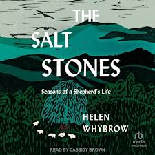 The Salt Stones by Helen Whybrow
